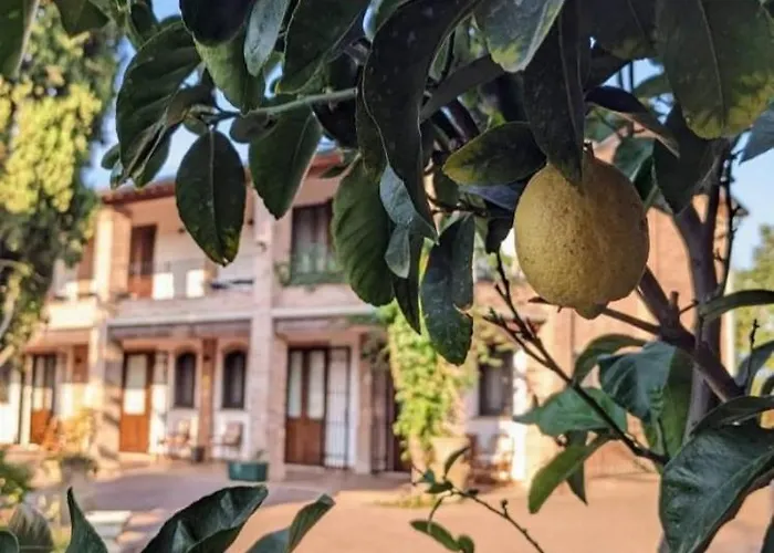 Il Ghiandolino Imola