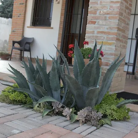 Il Ghiandolino *