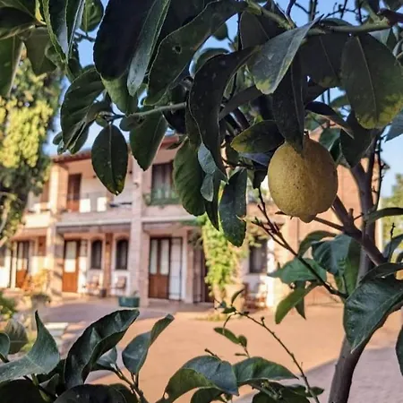 Il Ghiandolino Imola
