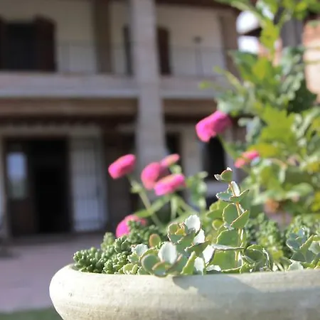 Il Ghiandolino * Имола