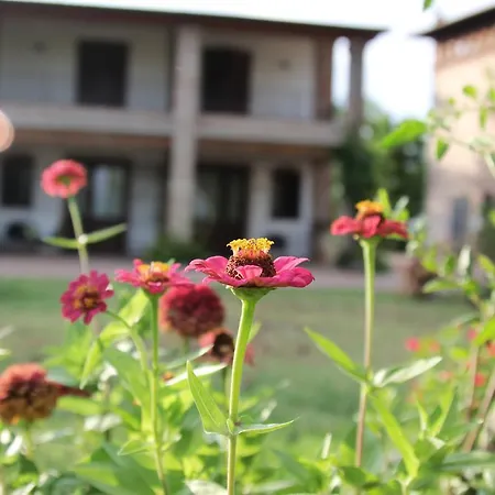 Il Ghiandolino Farm stay