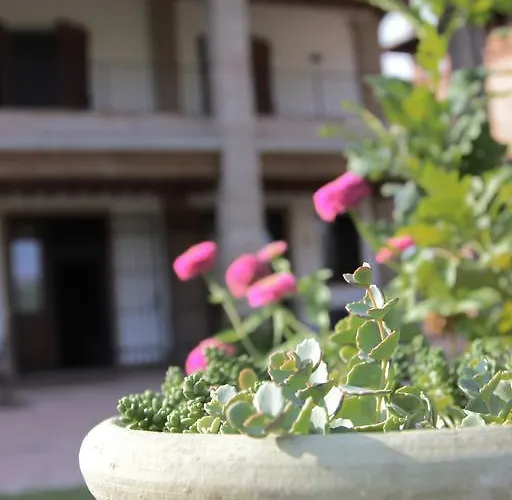 Il Ghiandolino * Imola