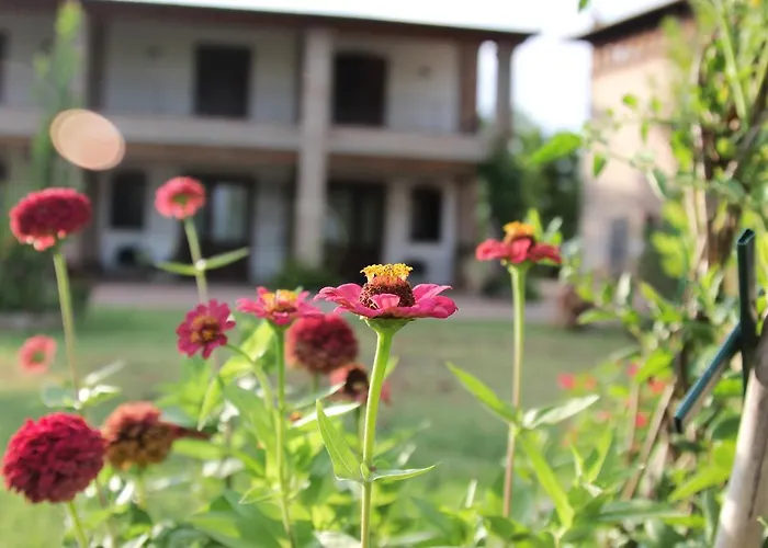 Il Ghiandolino Alloggio per agriturismo